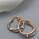 گوشواره حلقه ای دو رنگ پیچ