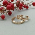 گوشواره کارتیر