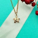 مدال تک ستاره