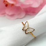 انگشتر پروانه