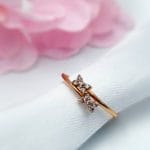 انگشتر دو‌پروانه