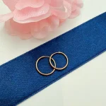 گوشواره حلقه ای ساده کوچک