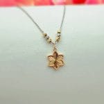 گردنبند ستاره تراش