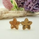 گوشواره میخی ستاره