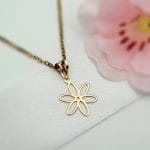 مدال تک گل شیش پر