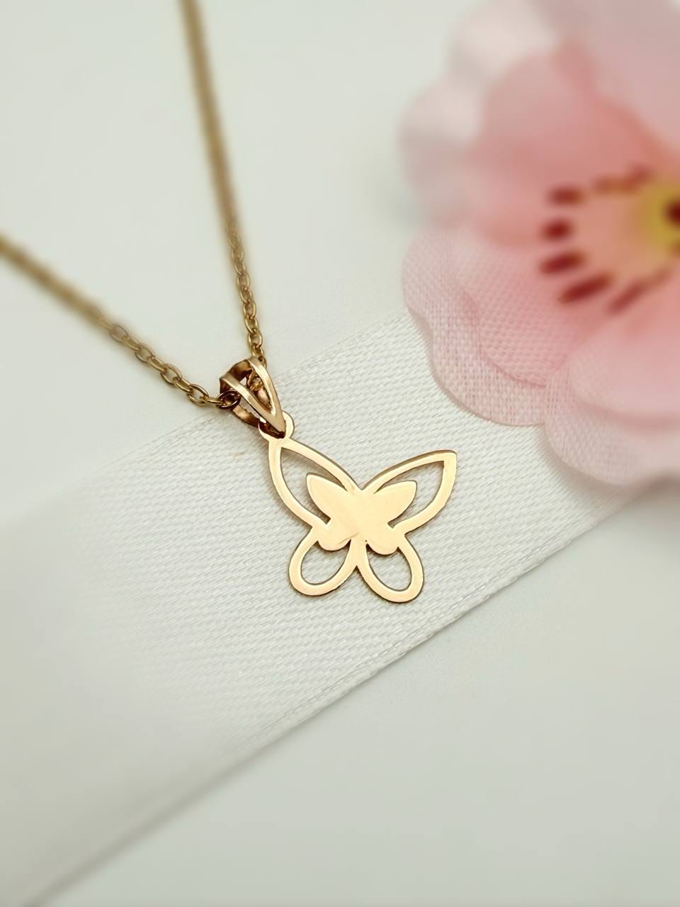 photo_2025-10-27_13-44-27 مدال تک پروانه - Image 1