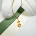 مدال تک ونکلیف سیلوا