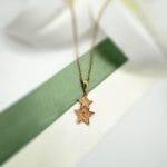 مدال تک دو ستاره سیلوا