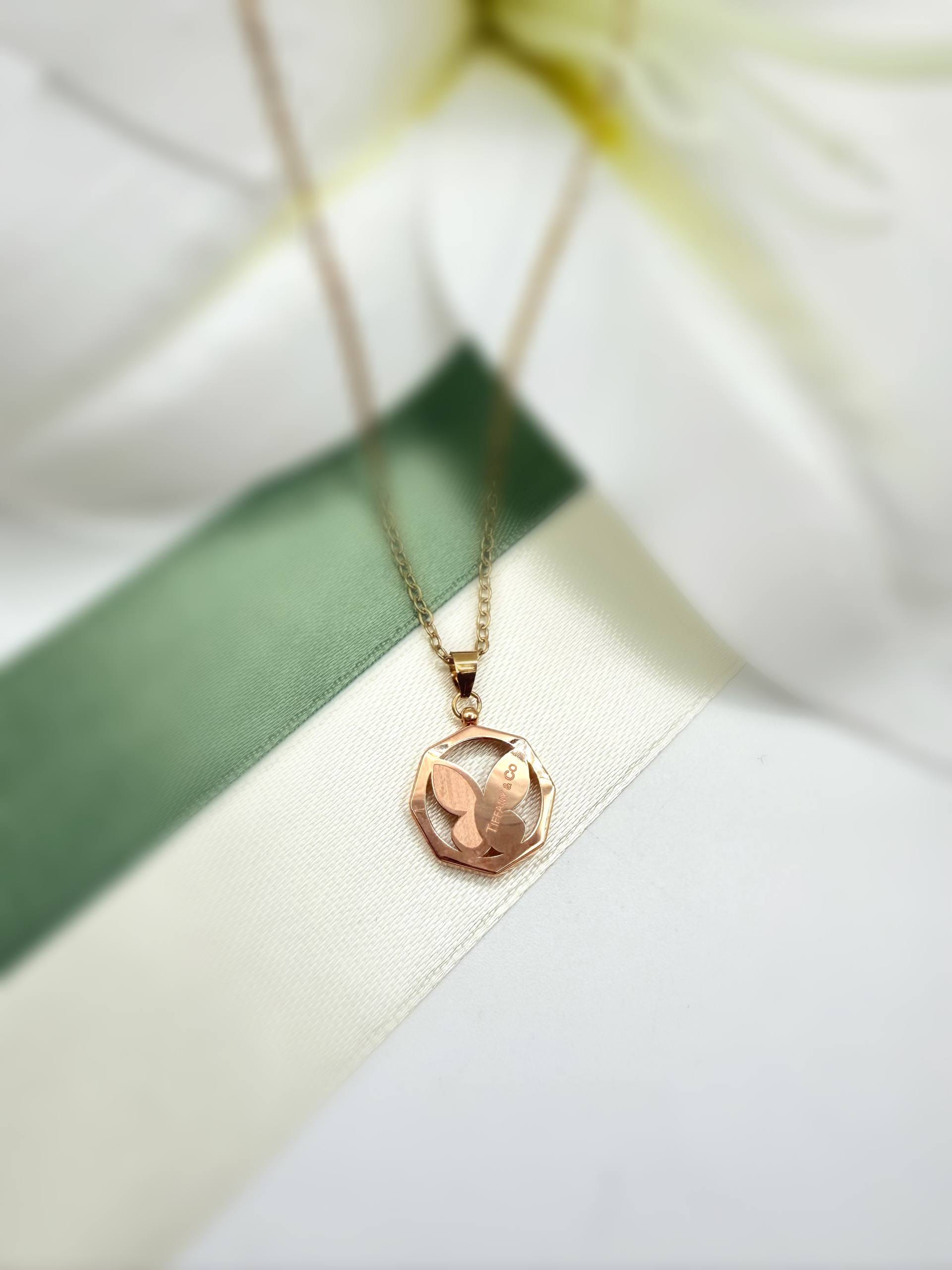 photo_2025-11-25_17-58-29 مدال تک رایان پروانه - Image 1