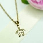 مدال تک لاک پشت توری