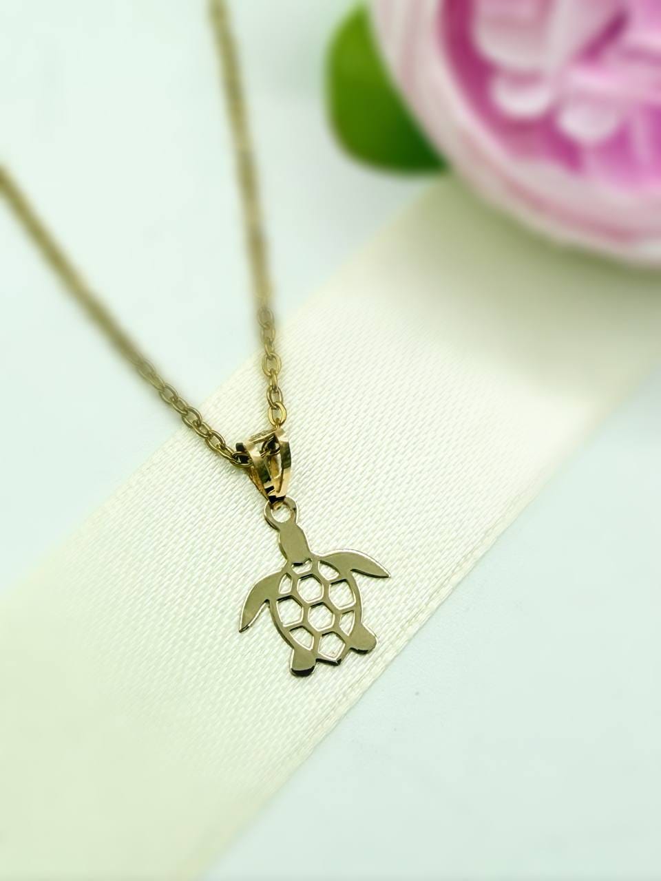 photo_2025-12-07_17-17-34 مدال تک لاک پشت توری - Image 1